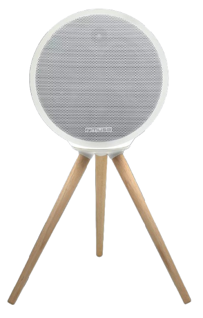Enceinte Bluetooth MUSE ML655BT – 100 W, trépied bois, lumière d’ambiance